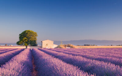Croisière couleurs Provençales