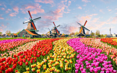 Keukenhof
