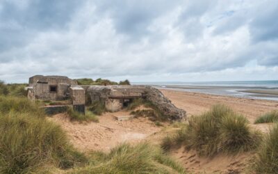 80ème anniversaire du D-Day et de la bataille de Normandie